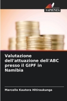 Valutazione dell'attuazione dell'ABC presso il GIPF in Namibia (Italian Edition) 6208031796 Book Cover