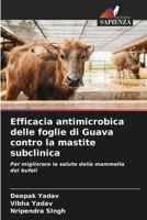 Efficacia antimicrobica delle foglie di Guava contro la mastite subclinica (Italian Edition) 6209387896 Book Cover