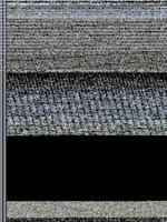 The Path Forward 1490832904 Book Cover