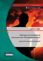 Materielle und immaterielle Instrumente der Mitarbeitermotivation: Garant für eine Verbesserung? 3956843479 Book Cover