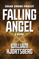 Falling Angel 0312957955 Book Cover