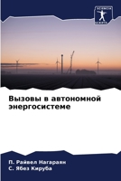 &#1042;&#1099;&#1079;&#1086;&#1074;&#1099; &#1074; &#1072;&#1074;&#1090;&#1086;&#1085;&#1086;&#1084;&#1085;&#1086;&#1081; &#1101;&#1085;&#1077;&#1088; 6205342847 Book Cover