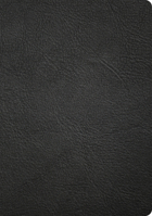 CSB Apologetics Study Bible, Revised & Updated, Easy-To-Read Optimal Type, Black Genuine Leather, Indexed B0GZ9HK4VD Book Cover