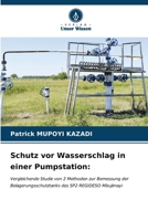 Schutz vor Wasserschlag in einer Pumpstation (German Edition) 6206675114 Book Cover