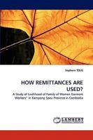 How Remittances Are Used? 3838383885 Book Cover