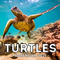 Turtles Calendar 2021: 16-Month Calendar, Cute Gift Idea For Turtle Lovers Women & Men B0959RCH25 Book Cover