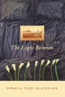 The Light Between 0814336140 Book Cover