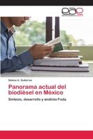 Panorama actual del biodi�sel en M�xico 6200411719 Book Cover