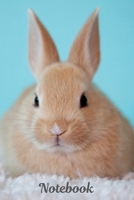 Notebook: Small / Medium Lined A5 Rabbit Notebook (6" x 9") 100 Pages,  Journal Notepad Present for a Bunny Owner, Diary To Write In For A Rabbit Lover 1687110972 Book Cover