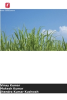 Relação entre a cobertura morta e a nutrição com fósforo na cana-de-açúcar plantada no outono 620912366X Book Cover