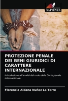 Protezione Penale Dei Beni Giuridici Di Carattere Internazionale 6203592579 Book Cover