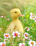 Baby Duck Unruled Notebook: Unruled, blank notebook. No lines. No page numbers. Glossy cover with image on front and back. Full size at 8.5 x 11 inches. Great for artwork or journals. 1987495616 Book Cover