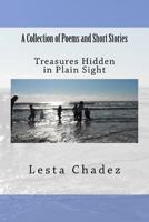 Treasures Hidden in Plain Sight: A Collection of Poems and Short Stories 1987489551 Book Cover