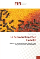 La Reproduction Chez L’abeille: Récolte et conservation du sperme chez l’espèce apicole : Apis Mellifera 6203428965 Book Cover