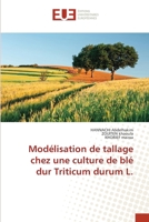 Modélisation de tallage chez une culture de blé dur Triticum durum L. (French Edition) 6207478630 Book Cover
