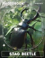 Stag Beetle Photo Book: Explore 40 Stunning Images Of This Majestic Insect, Perfect For Entomology Enthusiasts And Nature Lovers B0DQ63NCLM Book Cover