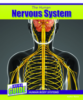 The Human Nervous System 1502657317 Book Cover