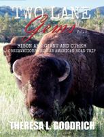 Two Lane Gems, Vol. 2: Bison are Giant and Other Observations from an American Road Trip 0960049533 Book Cover