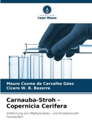Carnauba-Stroh - Copernicia Cerifera (German Edition) 6209431933 Book Cover