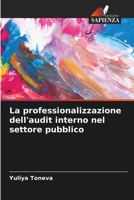 La professionalizzazione dell'audit interno nel settore pubblico (Italian Edition) 6630400410 Book Cover