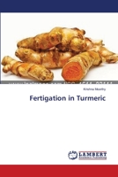 Fertigation in Turmeric 3659383392 Book Cover