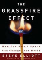 The Grassfire Effect: How One Small Spark Can Change Your World 0805440372 Book Cover