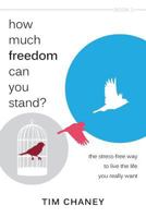 How Much Freedom Can You Stand?: The Stress-Free Way to Live the Life You Really Want 0991523806 Book Cover