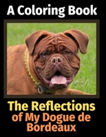 The Reflections of My Dogue de Bordeaux: A Coloring Book 1709811315 Book Cover