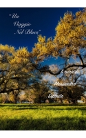 Un Viaggio Nel Blues B0CD16FNMW Book Cover