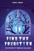 Find the Forgotten: The Mystery of Morrigan Halloway B0CPRJMXFZ Book Cover