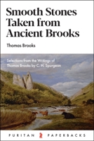 Smooth Stones Taken from Ancient Brooks 1848711131 Book Cover
