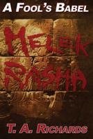 A FOOL's BABEL - Melek Rasha 154051336X Book Cover
