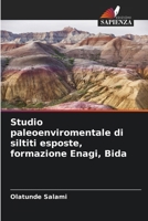 Studio paleoenviromentale di siltiti esposte, formazione Enagi, Bida (Italian Edition) 6208077729 Book Cover