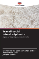 Travail social interdisciplinaire 6206547841 Book Cover