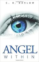 Angel Within 164953115X Book Cover