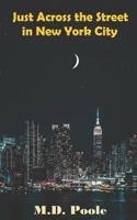 Just Across the Street in New York City B09RFVGNKF Book Cover