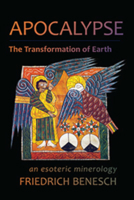 Apocalypse, the Transformation of Earth 1584201657 Book Cover