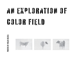 An Exploration In Color Field B0CQKLDPXZ Book Cover