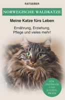 Norwegische Waldkatze: Ernährung, Erziehung, Pflege und vieles mehr! B08VCH8XJQ Book Cover