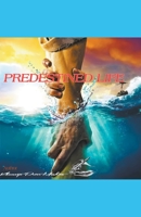 Predestined Life B0C133M72Z Book Cover