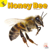 Honey Bee 173160582X Book Cover