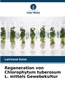 Regeneration von Chlorophytum tuberosum L. mittels Gewebekultur (German Edition) 6209847595 Book Cover