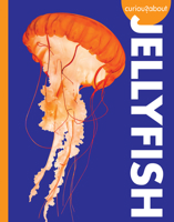 Curious About Jellyfish 1645491331 Book Cover