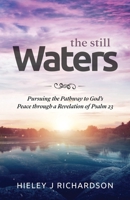 The Still Waters: Pursuing the Pathway to God’s Peace through a Revelation of Psalm 23 B08CWG45HN Book Cover