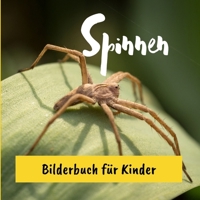 Spinnen: Bilderbuch für Kinder (German Edition) B0CVTVVHFV Book Cover