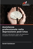Assistenza professionale nella depressione post-ictus (Italian Edition) 6209763480 Book Cover