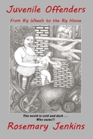 Juvenile Offenders: From Big Wheels to the Big House 0999322656 Book Cover