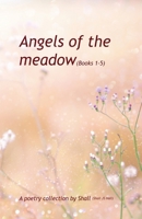 Angels of the Meadow B0GLRHSN4B Book Cover