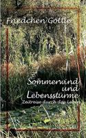 Sommerwind und Lebensstürme: Zeitreise durch das Leben 3833437413 Book Cover