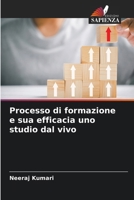Processo di formazione e sua efficacia uno studio dal vivo (Italian Edition) 6209554121 Book Cover